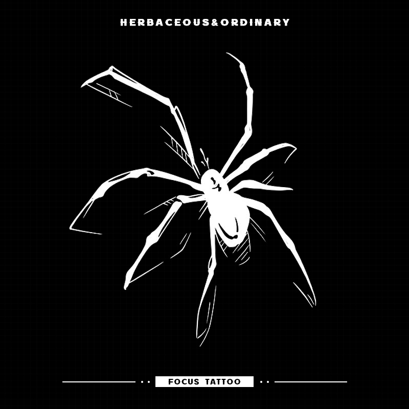 New High-Quality, Non-Reflective, Sexy Waist Fake Tattoo with Realistic Spider Herbal Tattoo Stickers, Semi-Permanent