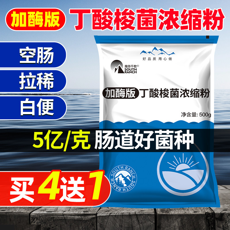 Clostridium Dinacidobacteria EM aquaculture Shrimp Crab Fish Pond Regulating Intestinal Tug White Defecation Bowel Gastrointestinal probiotic species