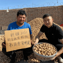 2021 Xinjiang 185 Walnut 5kg Pack 2500g New Thin Shell Class I Original Uncleaned Natural