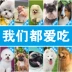 Thức ăn cho chó trưởng thành, Jinmaola, Husky, Satsuma, vật nuôi, thức ăn tự nhiên, tất cả các con chó, chung 20 kg - Chó Staples thức ăn cho chó phốc hươu Chó Staples