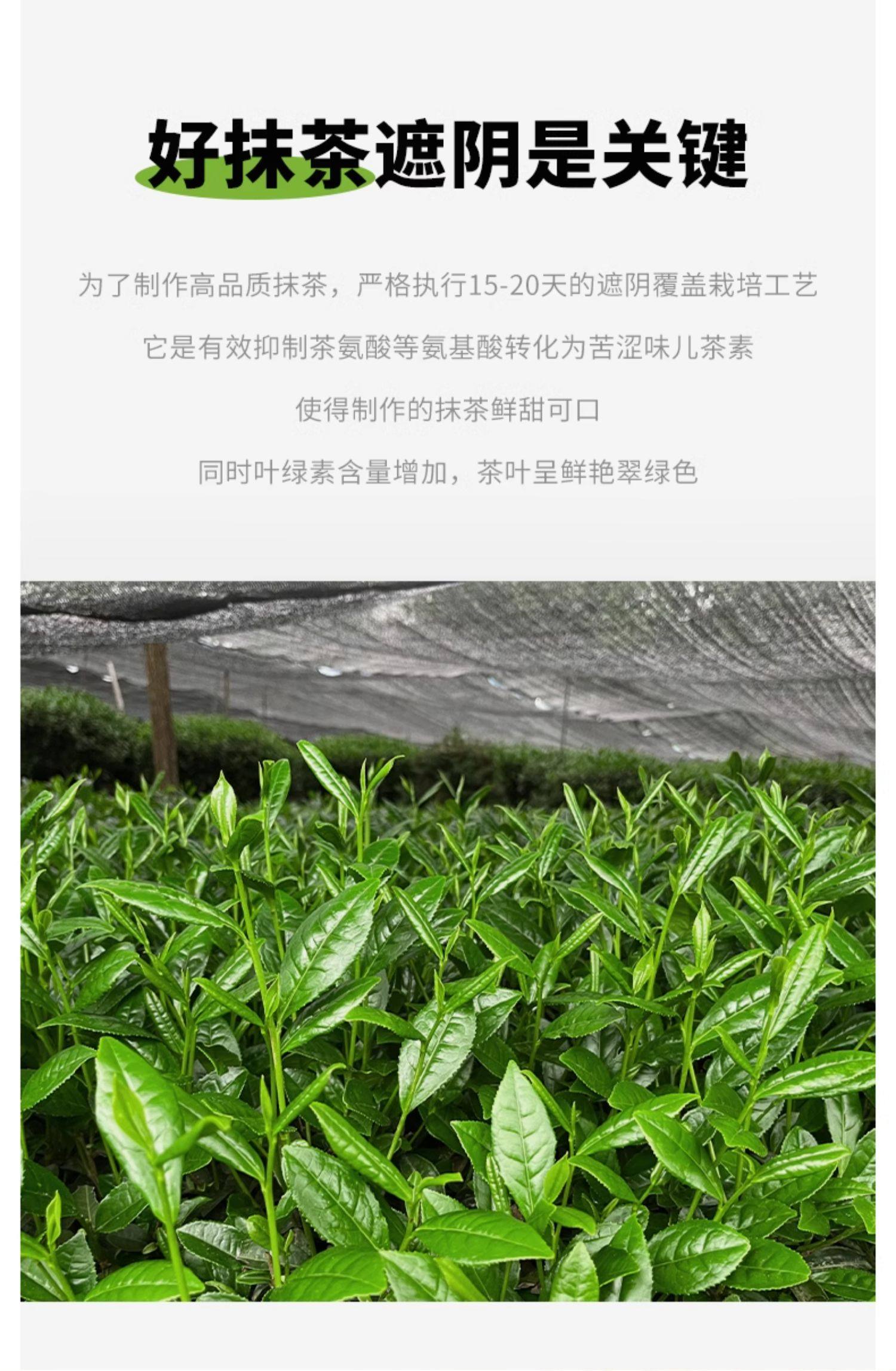 贵茶  欧标纯抹茶粉30g/包 冲饮小包装 生椰牛奶拿铁烘焙