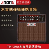 Цифровая гитара, колонки, коробка, 30A