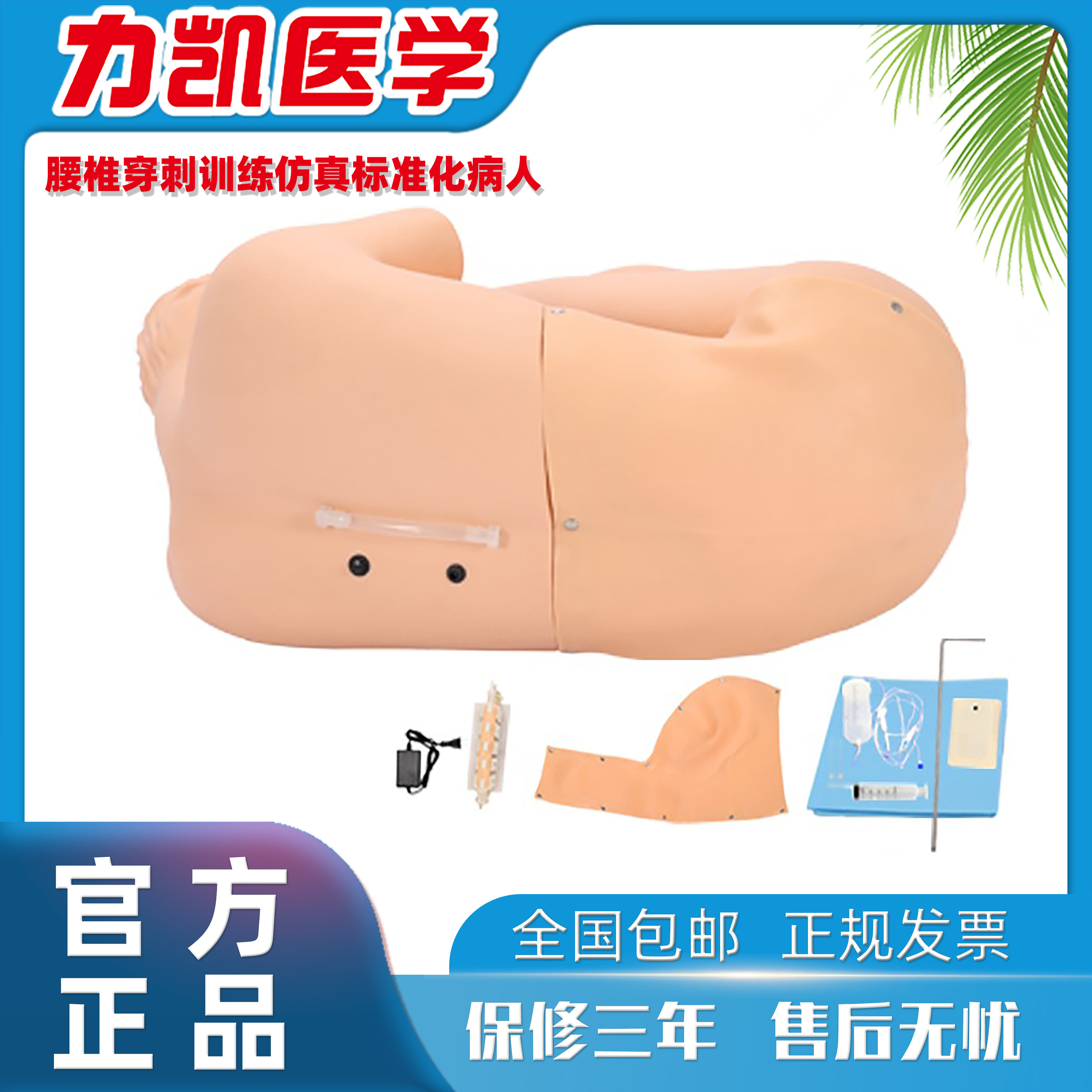 力凯医学LK-CK811腰椎穿刺训练仿真标准化病人腰麻模拟脑脊液模型