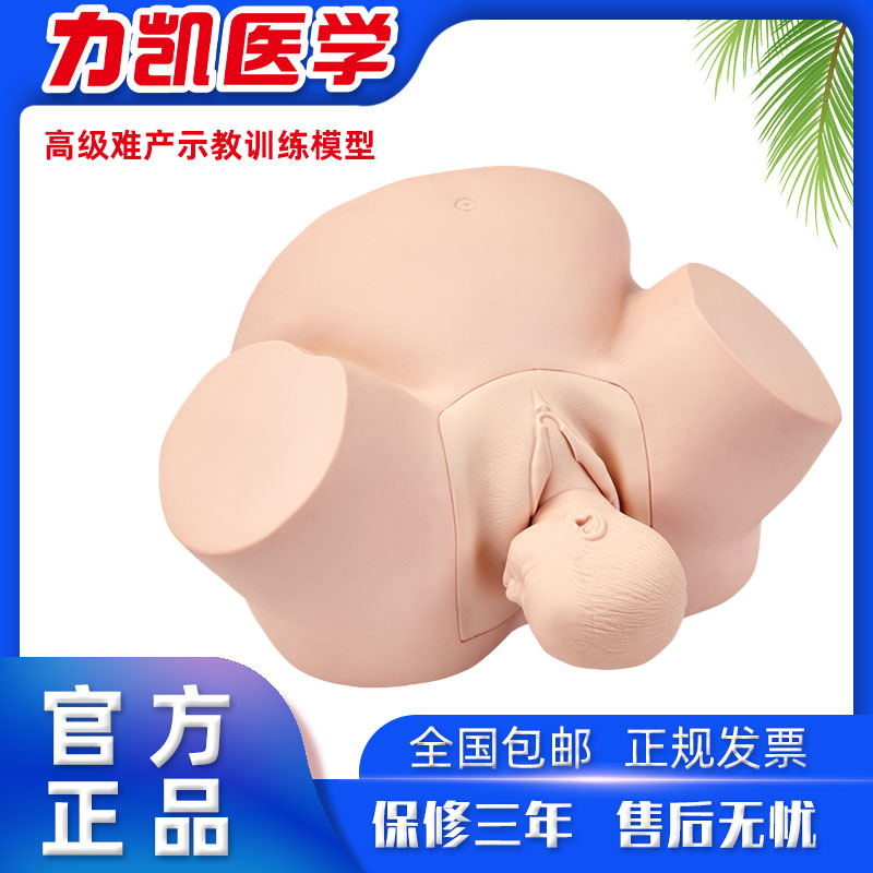 力凯LK/F4高级难产示教训练模型妇科检查孕妇分娩接生助产模型
