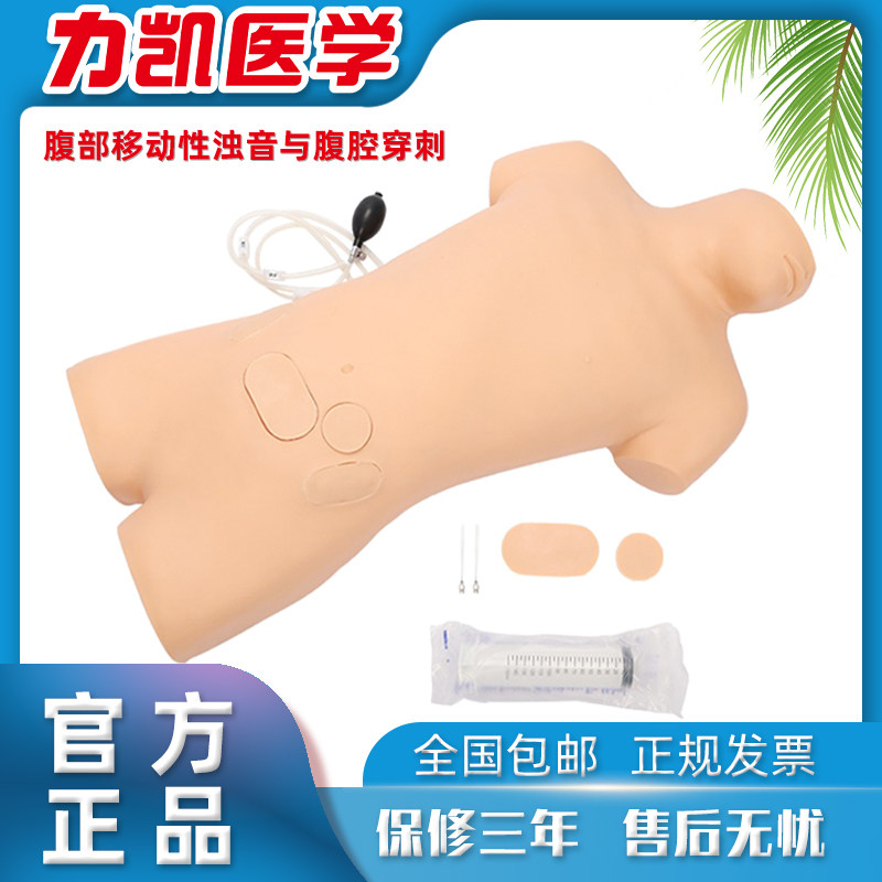 CK813腹部移动性浊音叩诊与腹腔穿刺训练模型腹水积液教学模拟人