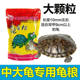 ອາຫານເຕົ່າ, ອາຫານເຕົ່າ, ອາຫານເຕົ່າທອງ, ອາຫານເຕົ່າ, ອາຫານເຕົ່າ, ເຕົ່າບຣາຊິນ, ເຕົ່າ, ອາຫານເຕົ່າ, ອາຫານເຕົ່າ