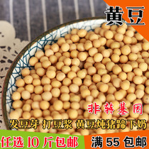 Farmers  own soybeans old varieties bean sprouts special soybeans for soy milk soy bean incense tofu 500g soybeans
