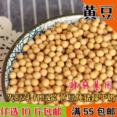Farmers ' own soybeans, old varieties, bean sprouts, special soybeans for soy milk, soy bean incense, tofu 500g soybeans