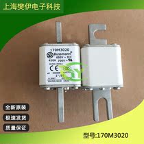 American fuse 170M3017 170M3018 170M3019 170M3020 new original spot
