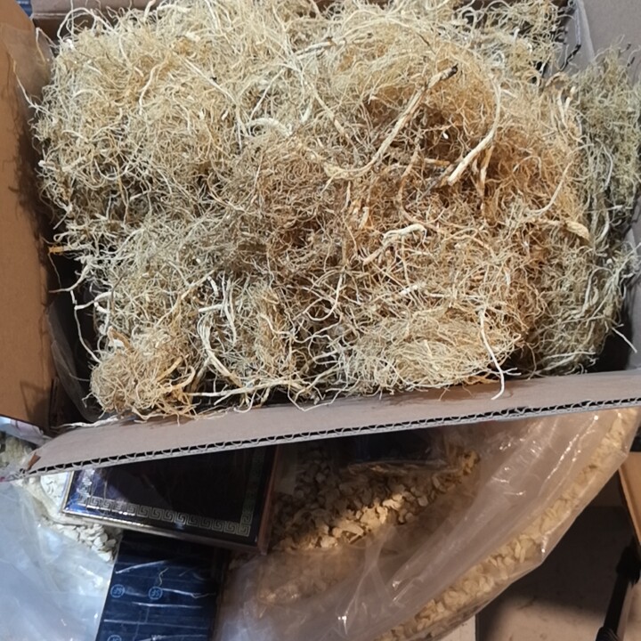 It has to be half a catty of the forest.