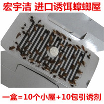 Cockroach killing drug catcher in addition to killing and driving cockroach powder whole nest end household bait glue bait pill cockroach House paste