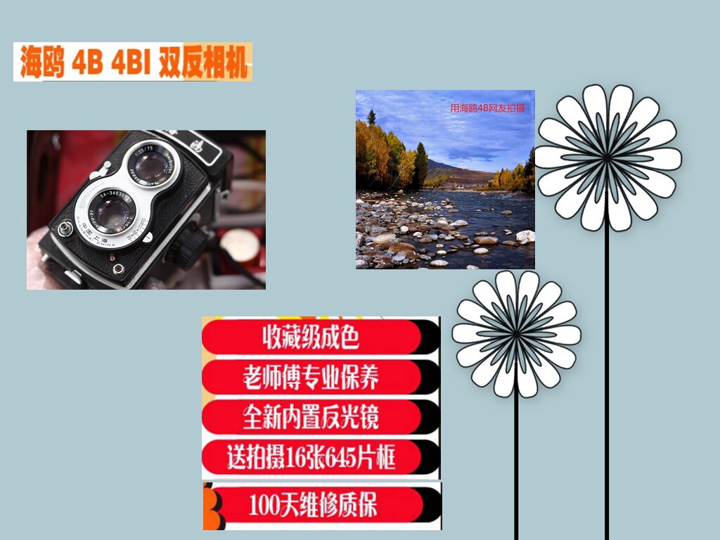 Камера 海鸥  4b--1  双反120胶卷机械相机！早期五位编号   功能正常
