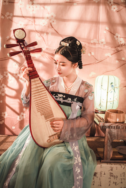 Hanfu women's clothing Han element ancient style embroidery fairy placket chest Tang dress daily kimono skirt