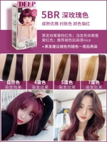 5br Dark Rose ❤ Супер показывающий темперамент