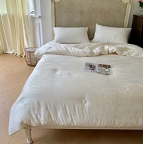 High-end winter quilt Bouric acid 60 wood This jacquard soybean primary and secondary quilted with double tire by zipper two-in-one quilt