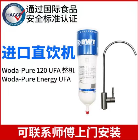 German Bwt Original Imported Bwtwoda-Pure120 Water Purifier Direct Drinking Water Filter Bwt Replacement Filter Cartridge
