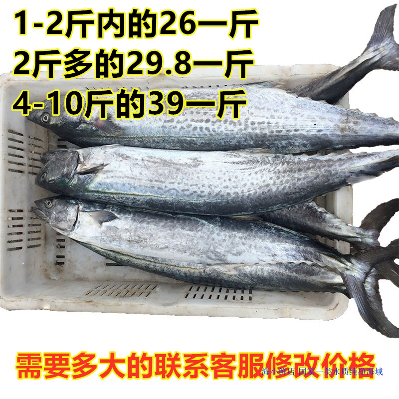 新鲜现捕：探索海小鲜鲅鱼的独特风味之旅