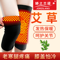 Winter thickened Wormwood knee cap cover warm old cold leg hot compress male and female joint fever cold old mans knee