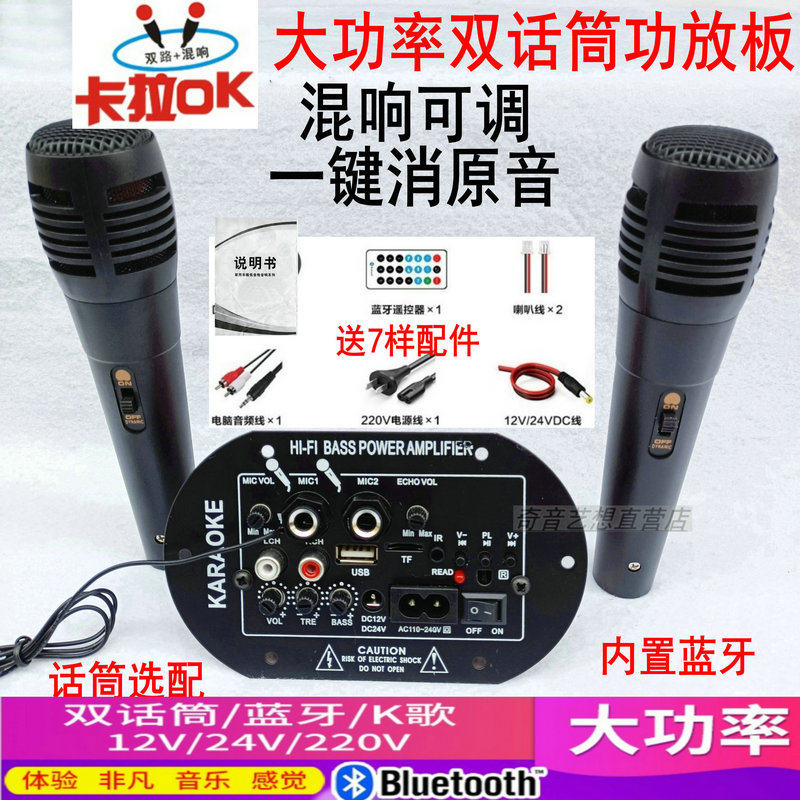 Dual microphone K song power amplifier board subwoofer accessories car built-in Bluetooth 220V12V24V volt universal microphone