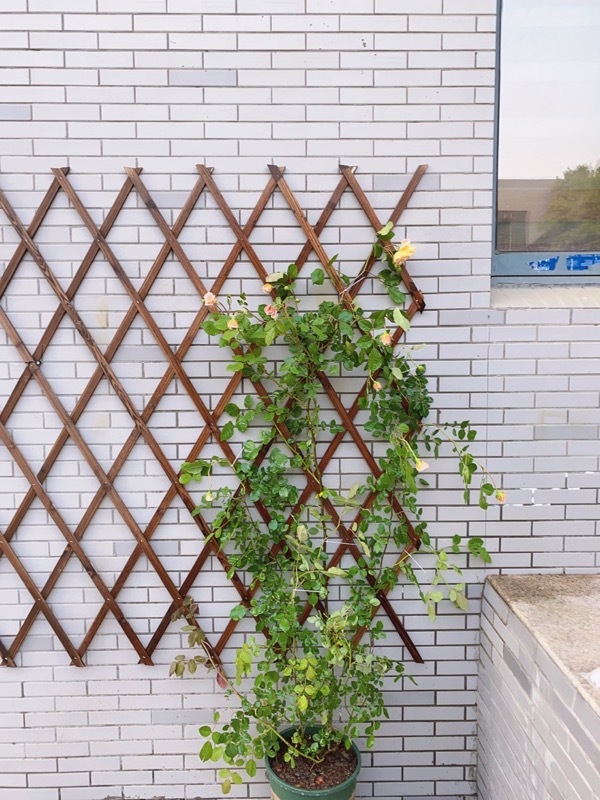 Outdoor anti-corrosion retractable wooden fenced balcony carbonized balcony wall hanging decoration climbing vine grid