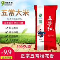 Authentic Five Liang Red Five Normal Rice Flowers Fragrant Reassurance Rice-filled Pouch Packaging 500 gr 1 catty Northeast Heilongjiang rice