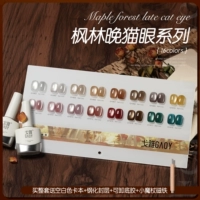 Полный набор Fenglin Evening Cat Eye [Купите 𧹒 и вы получите базовый герметик, магниты и пустую демонстрационную доску]