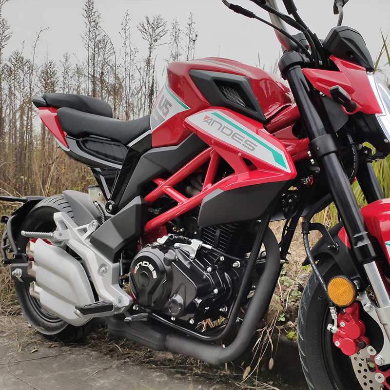 Andes U5 Little Ghost Motorcycle Sports Car 150CC Street Run U1 Upgraded Monkey Car Personality