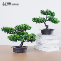 Simulation welcome pine plant potted indoor green plant small bonsai view fake branch decoration Home decoration fake flower ornaments