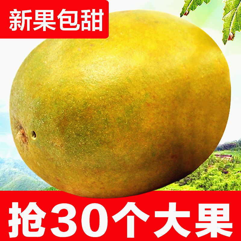 Gold low temperature dehydration Luo Han Guo dried fruit fresh white core Guangxi Guilin specialty Yongfu large fruit
