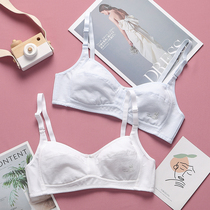 Girl bra development period gathered high school students Summer female college students bra without steel ring underwear cotton styling