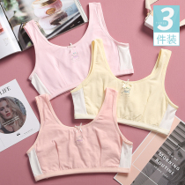 Girl childrens underwear 9 small vest type 12 Cotton Development period 13 junior high school students without steel ring bra 15 middle and big children