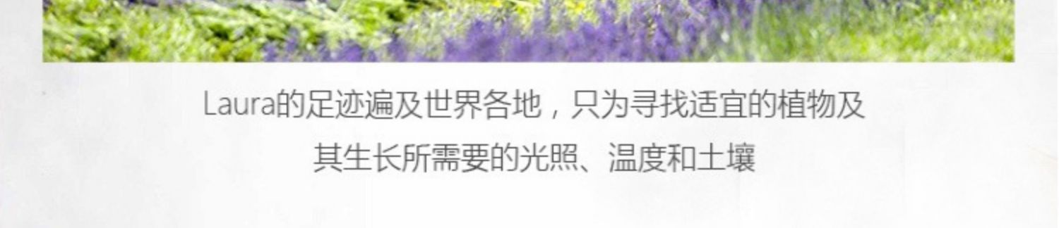 Nước hoa hoa nhài lady trung tính kéo dài hương thơm nhẹ rung cô gái cơ thể hoa bọ cạp hoa hồng tươi sinh viên lưới đỏ - Nước hoa coco noir 100ml