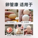 Курица, лекарство уток, курица, добавка для смешанного корма, курица, фаллопиевый туберит