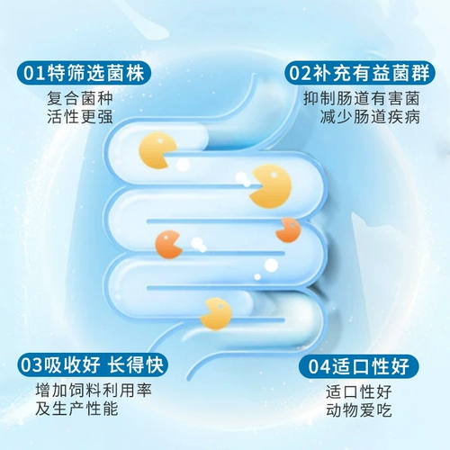 Звери пробиотиков с кондиционирующими желудочно -кишечными свиньями, коровы, овец, курицы, утки и гуся с живыми бактериями для содействия длинному аммиаку и газовым кормам добавка
