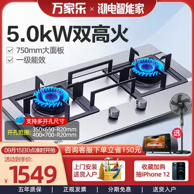 Macro Wanjiale QJ15(W) stainless steel gas stove double mouth gas stove embedded gas stove household fire stove