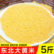 Northeast big yellow rice new rice sticky yellow rice sticky glutinous millet millet millet sticky bean dumplings sticky rice grains 5kg