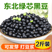 Northeast Selected Green Heart Small Black Bean Five Gu Cereals Cereals Non genetically modified Aoki Soybean Milk special germination farmhouse Self-production