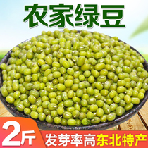 Heilongjiang Handpicked Green Bean Farmhouse Self-Produced Self-Sold Green Bean Soup Porridge Cool Can Raw Green Bean Sprout Fresh Mixed Grain 2 Jin