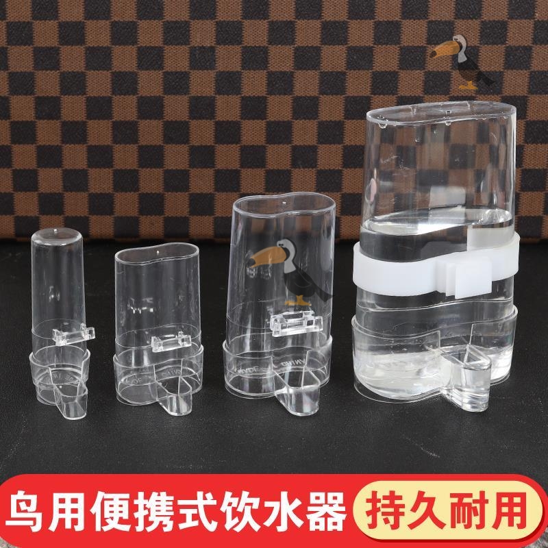 Bird with Automatic Drink Water Kettle Water Box Water Box Water Box Watering Can Painted Brow Brother 8 Gothic Bird Cage Special