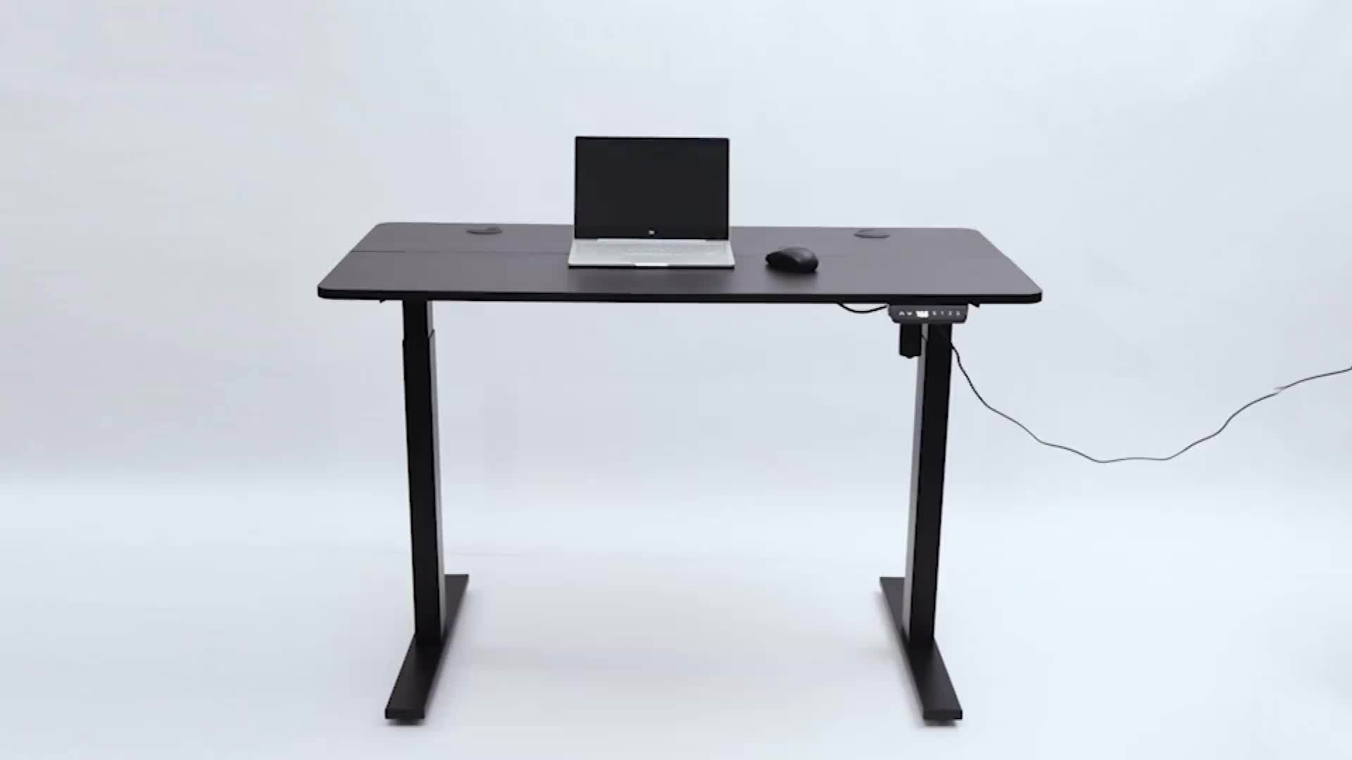 Electric Adjustable Height Computer Desk Lift Desk Ergonomic Lifting