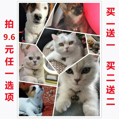 Pet Dog Cat Медная медная плюшевая плюшевая снежная кошачь