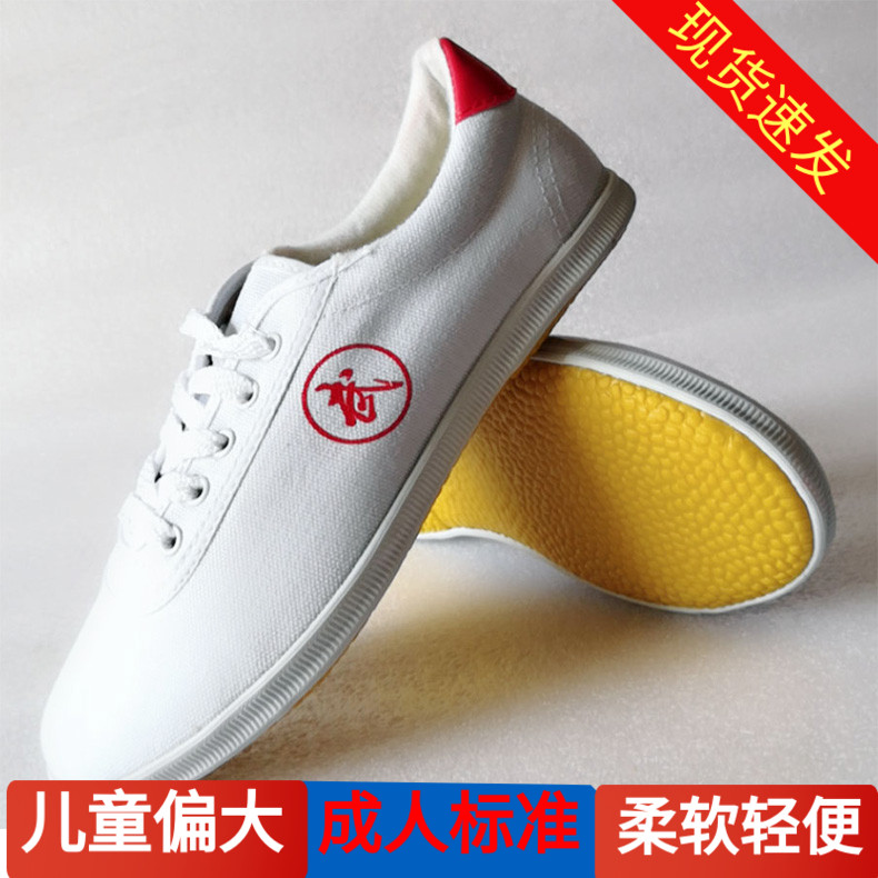 Spring Summer Practice Martial Arts Shoes Men's Canvas Bull Gluten Bottom Tai Chi Performance Shoes Women Martial Arts Training Sneakers Light White