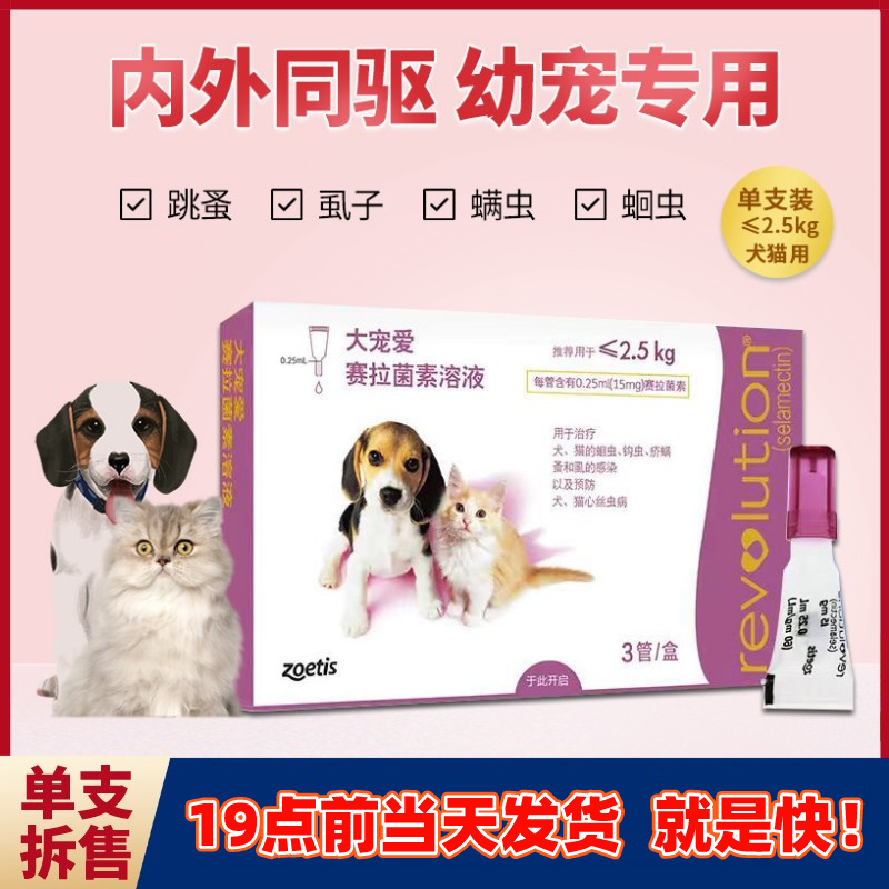 Devoting in vitro and external insecticide puppy puppy dog and dog dog dog and cat with insect repellent droplets