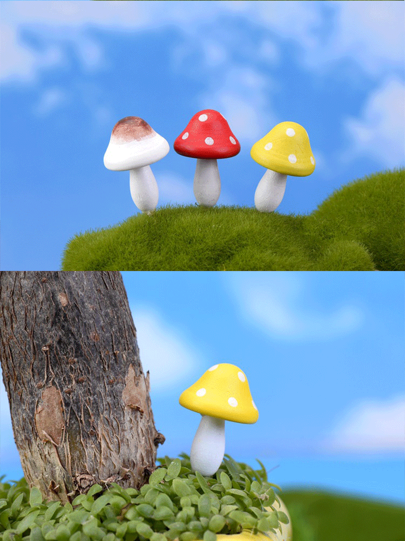 Mushroom_ (3) .gif