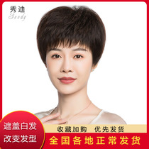 Mothers wig womens short straight hair real hair women middle-aged and elderly fashion fluffy natural hair set