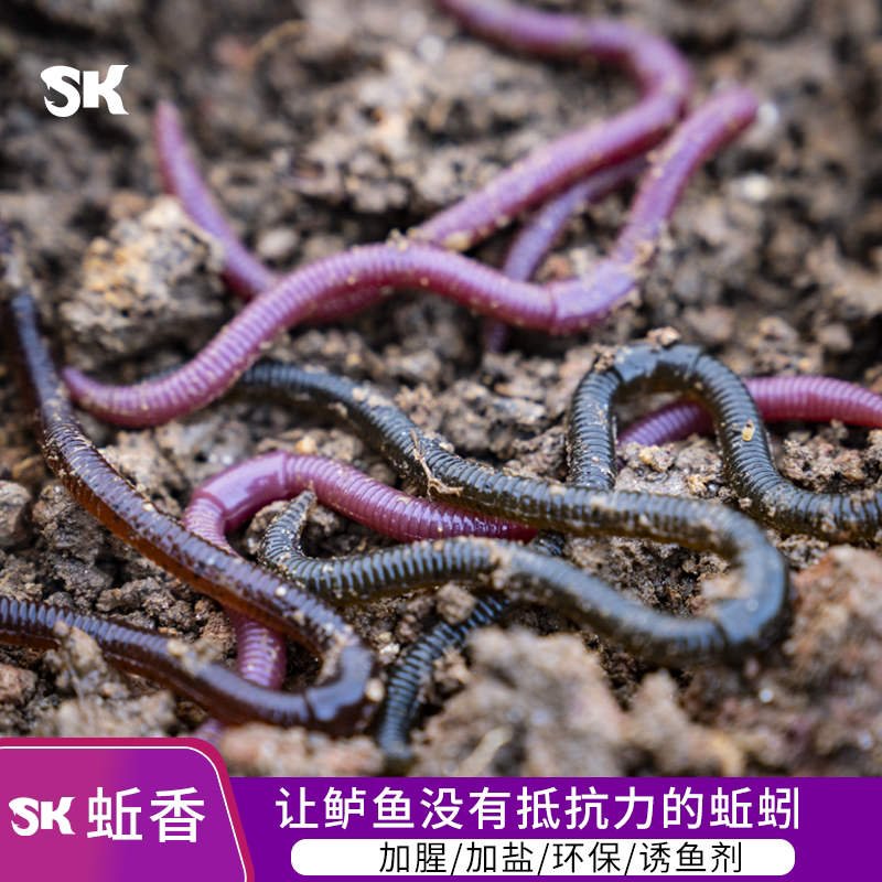 SK EARTHWORM DYNAMIC BIONIC EARTHWORM SOFT BAIT ROAD SUBFALSE BAIT BLACK PIT POND RESERVOIR EXIJIANG WILD FISHING TO KILL THE BAITS