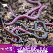 SK EARTHWORM DYNAMIC BIONIC EARTHWORM SOFT BAIT ROAD SUBFALSE BAIT BLACK PIT POND RESERVOIR EXIJIANG WILD FISHING TO KILL THE BAITS