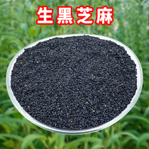 Pure black sesame seeds cooked black sesame seeds are full of sand no dyeing 500g oil boiled paste ground soy milk