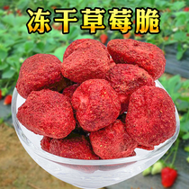 Frozen hay strawberry granule Strawberry snack Strawberry crispy fruit dried fruit preserved bulk dried preserved fruit large bag 500g