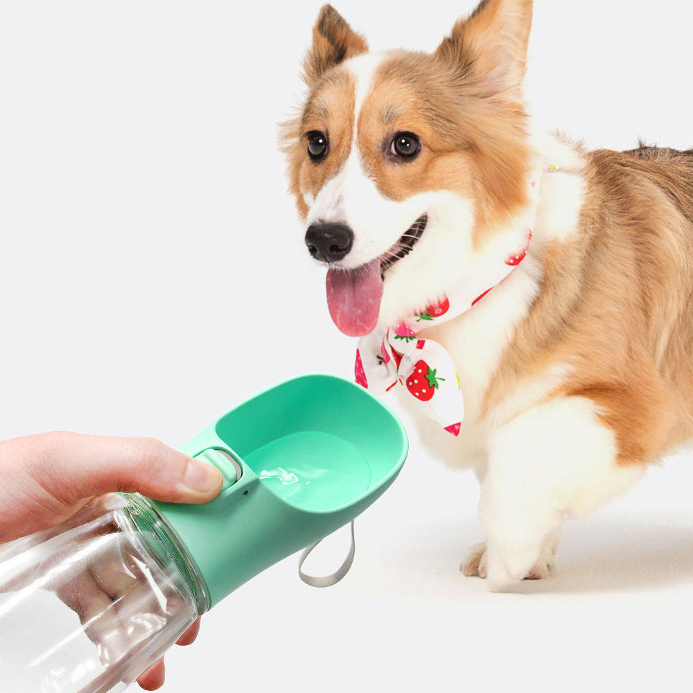 Dogs out of water Kettle Carry-on water Drinking water Drinking water Drinking water Drinking Water Machine Out Portable Pets Accompanying Water Cups